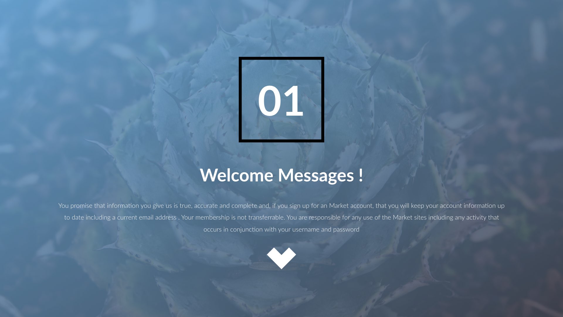 March PowerPoint Presentation Template by Augtapir GraphicRiver